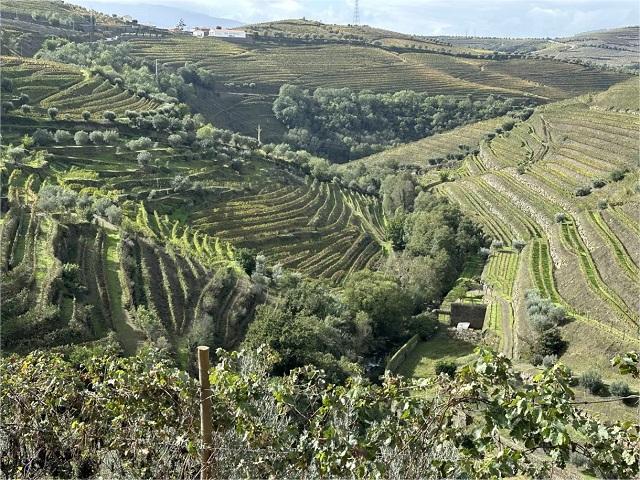 Alto Douro Portugal – A Sculpted Wonder